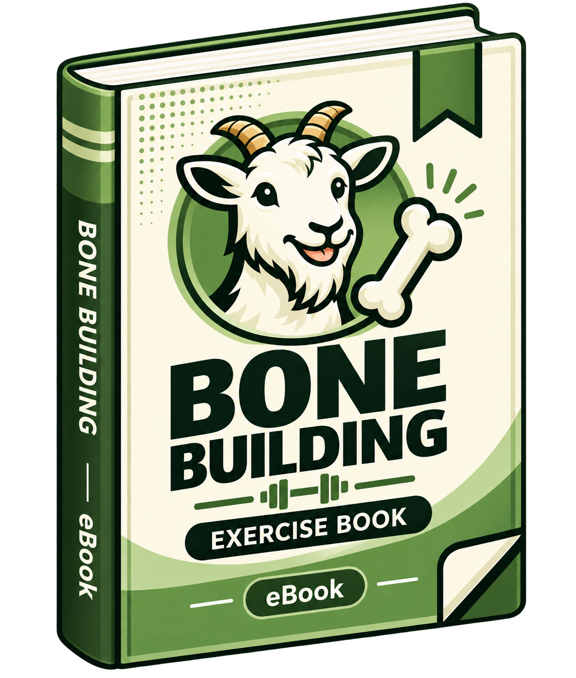 Bone Workout E-Book